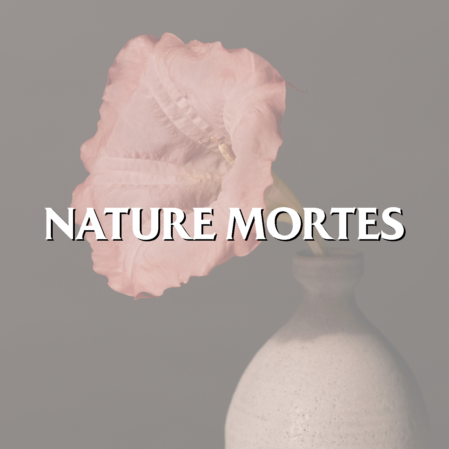 Natures Mortes